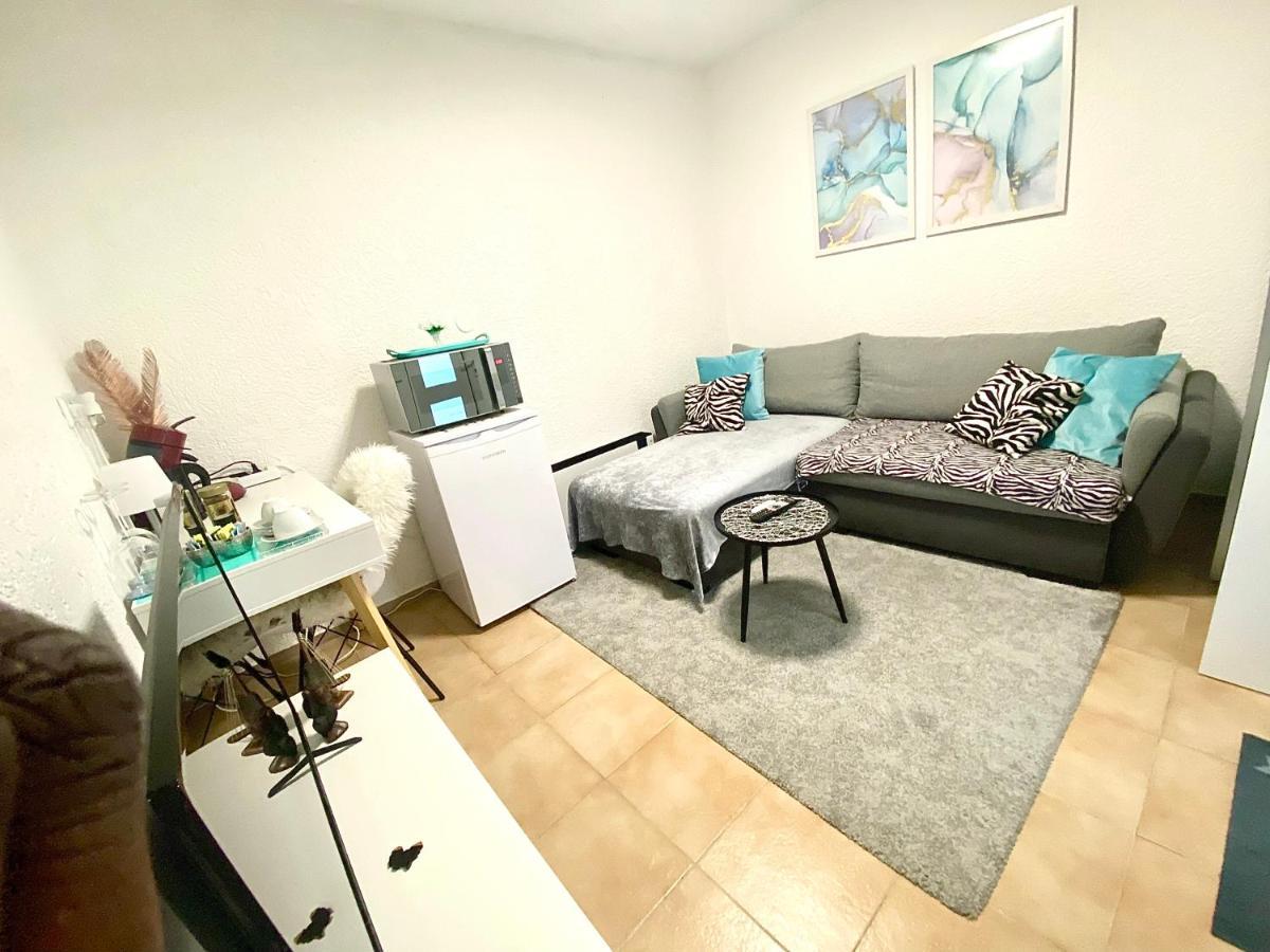 Top Apartment Saarbruecken City Екстериор снимка